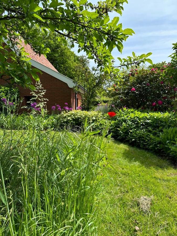 Haystackcottage Paterswolde Eksteriør billede