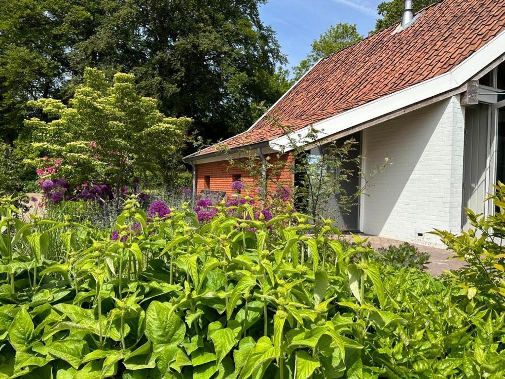 Haystackcottage Paterswolde Eksteriør billede