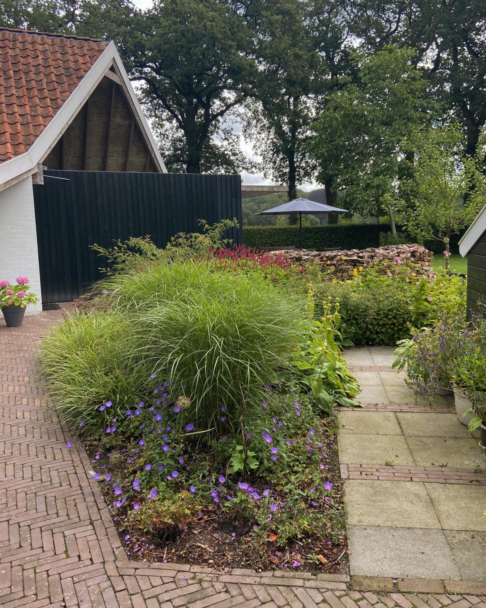 Haystackcottage Paterswolde Eksteriør billede